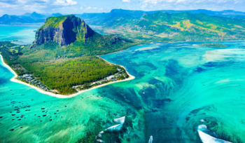 Company formation in Mauritius